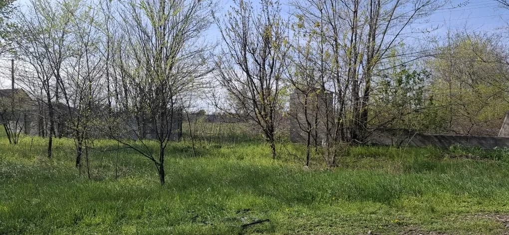 Ділянка 48 соток, Лобойківка: 100 м до дороги, огороджена - фото 3