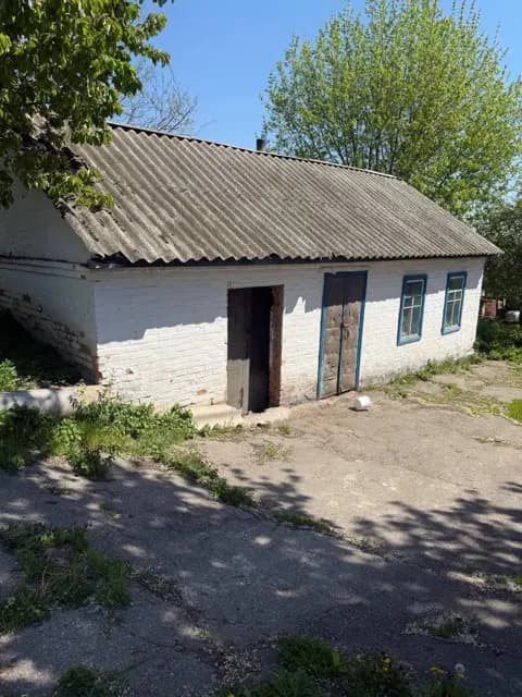 Будинок, Іркліїв: два гаражі, озеро неподалік - фото 4