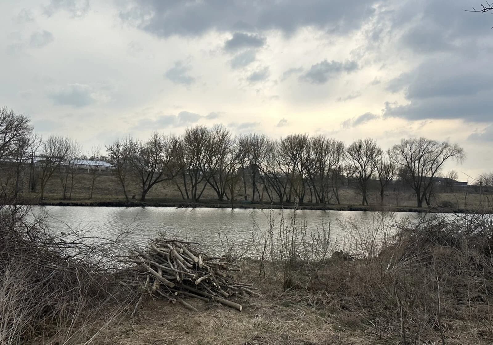 Ділянка 23.27 сотки, Романове село: під житлову забудову, чорнозем - фото 5