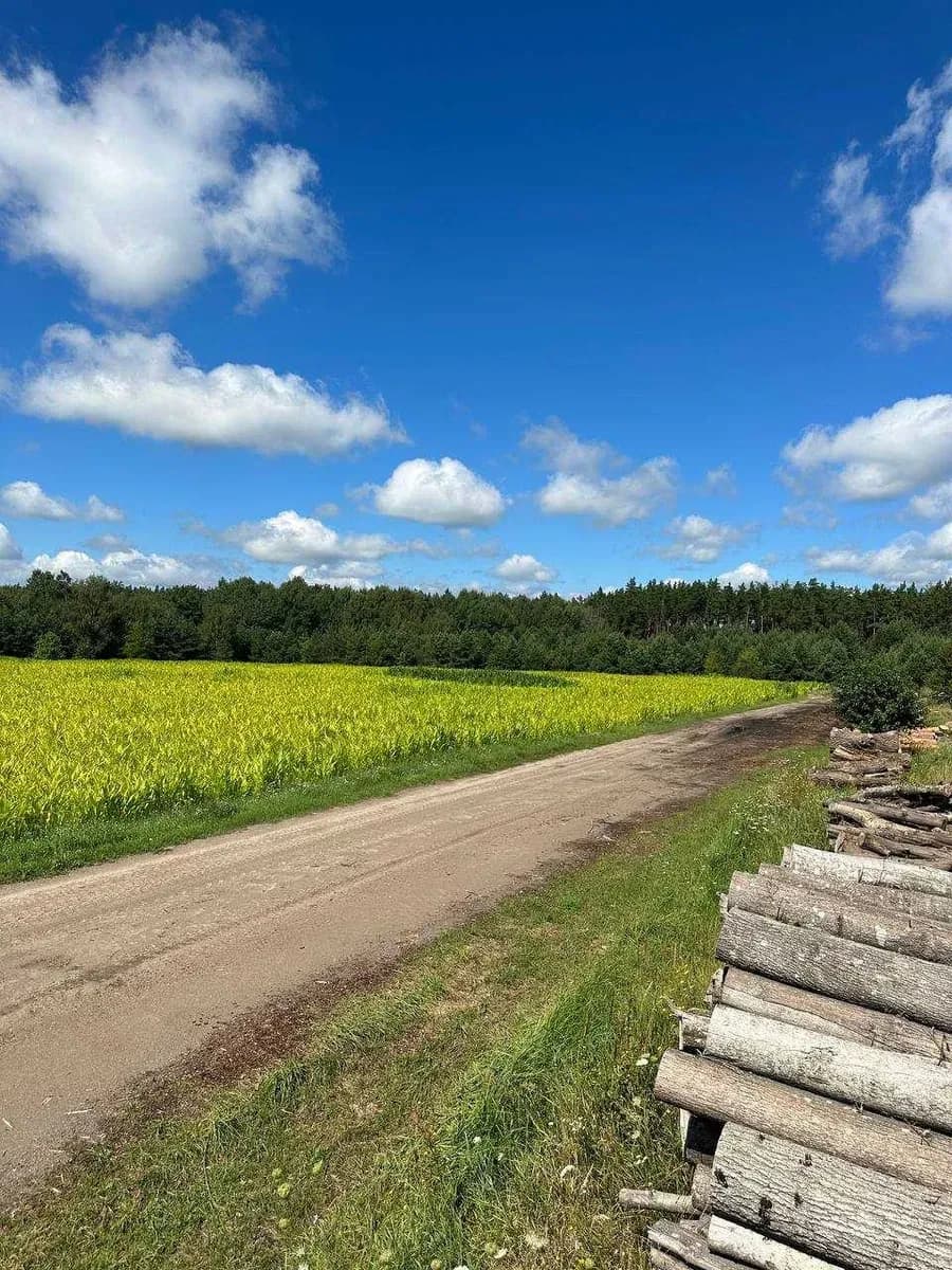 Ділянка 464 соток, Завалівка: під комплекси, 3 км ґрунтовки - фото 1