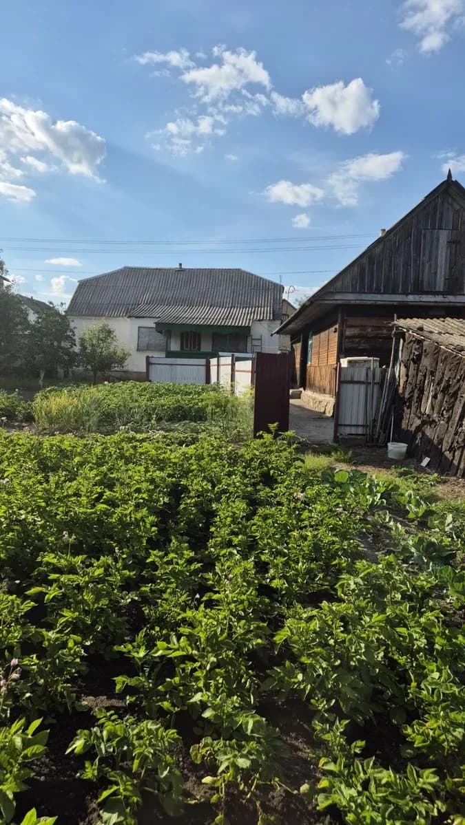 Будинок, Рудня: два гаражі, озеро, річка Тетерів - фото 5
