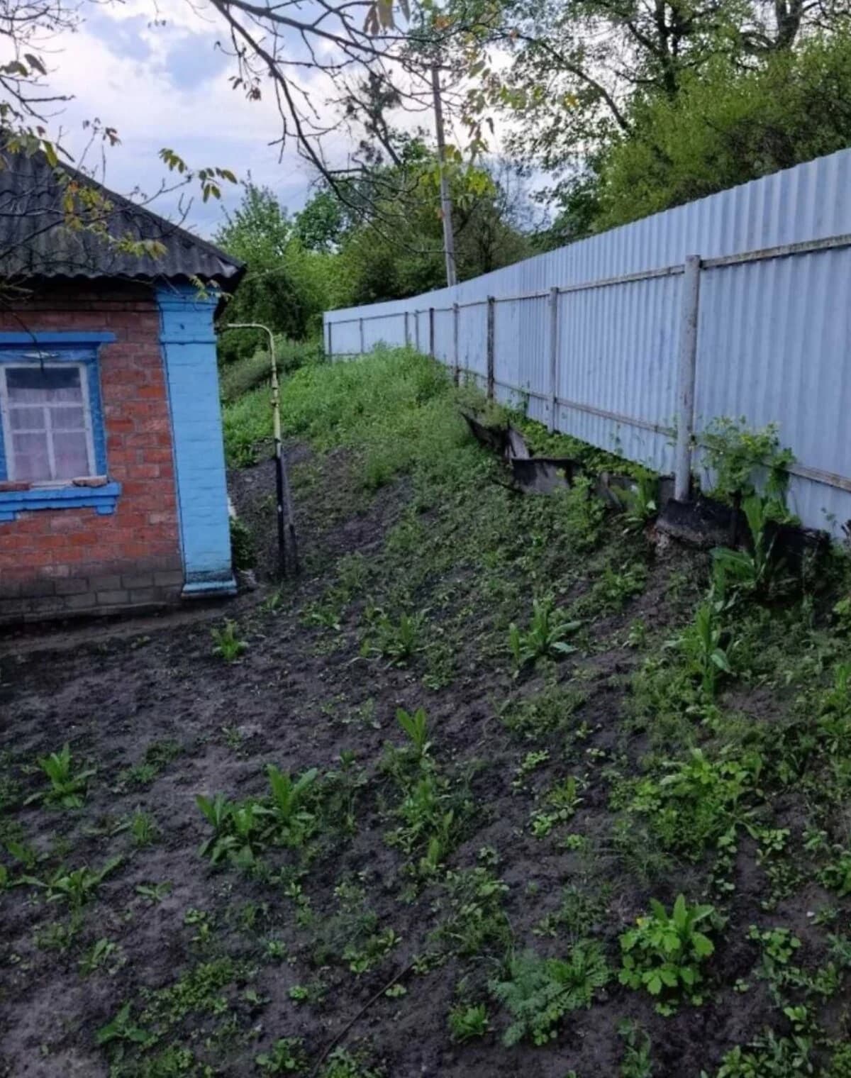 Будинок, Броварки (Гадяч): 50 соток, пічне опалення - фото 3