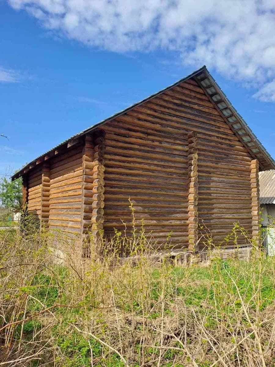 Будинок, Великі Мости: готові стіни та дах - фото 3