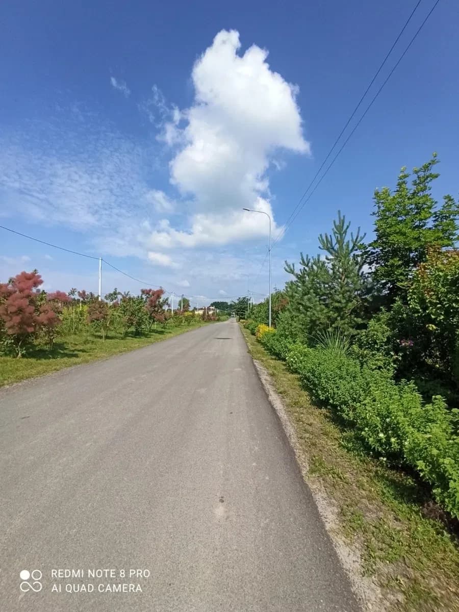Ділянка 89 соток, Проців: під забудову, сосновий ліс 200 м - фото 3