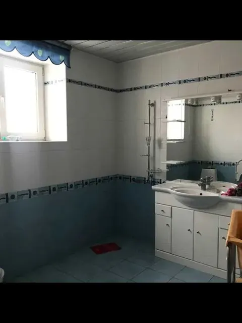 Будинок, Петропавлівська Борщагівка: гараж на 2 автомобілі, сауна - фото 2