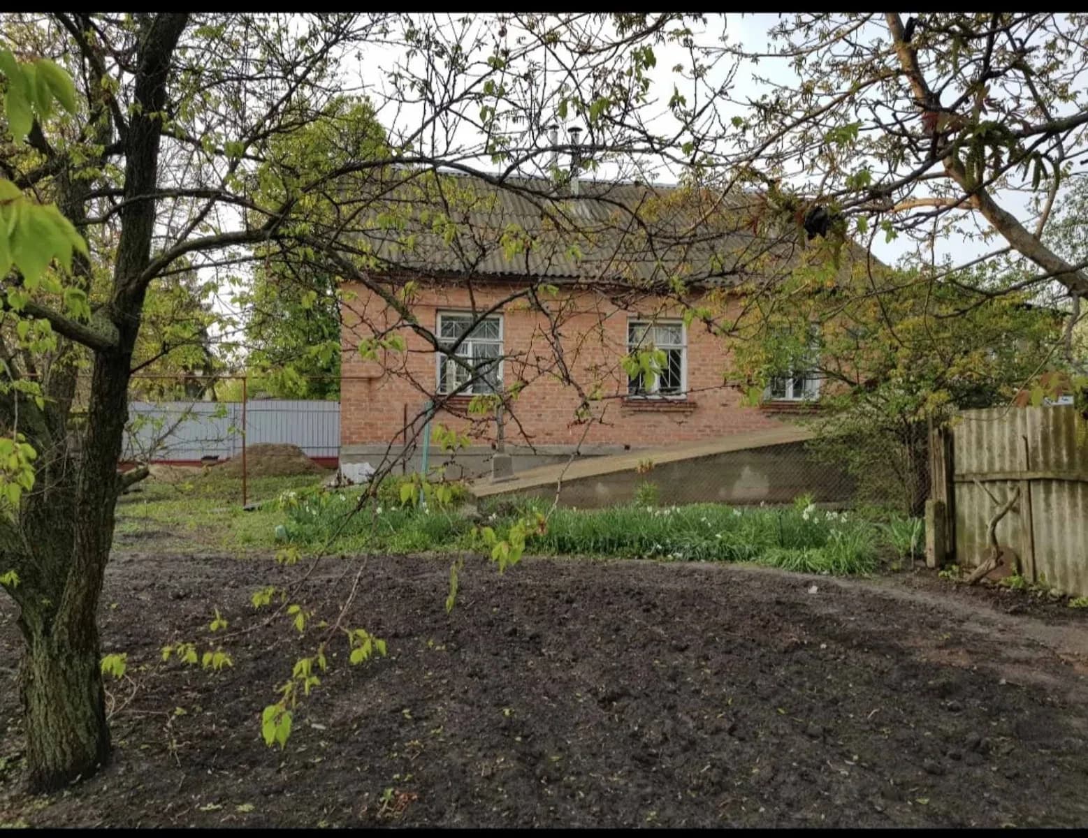 Будинок, Путивль: 27 соток, сарай 60 м², газове опалення - фото 4