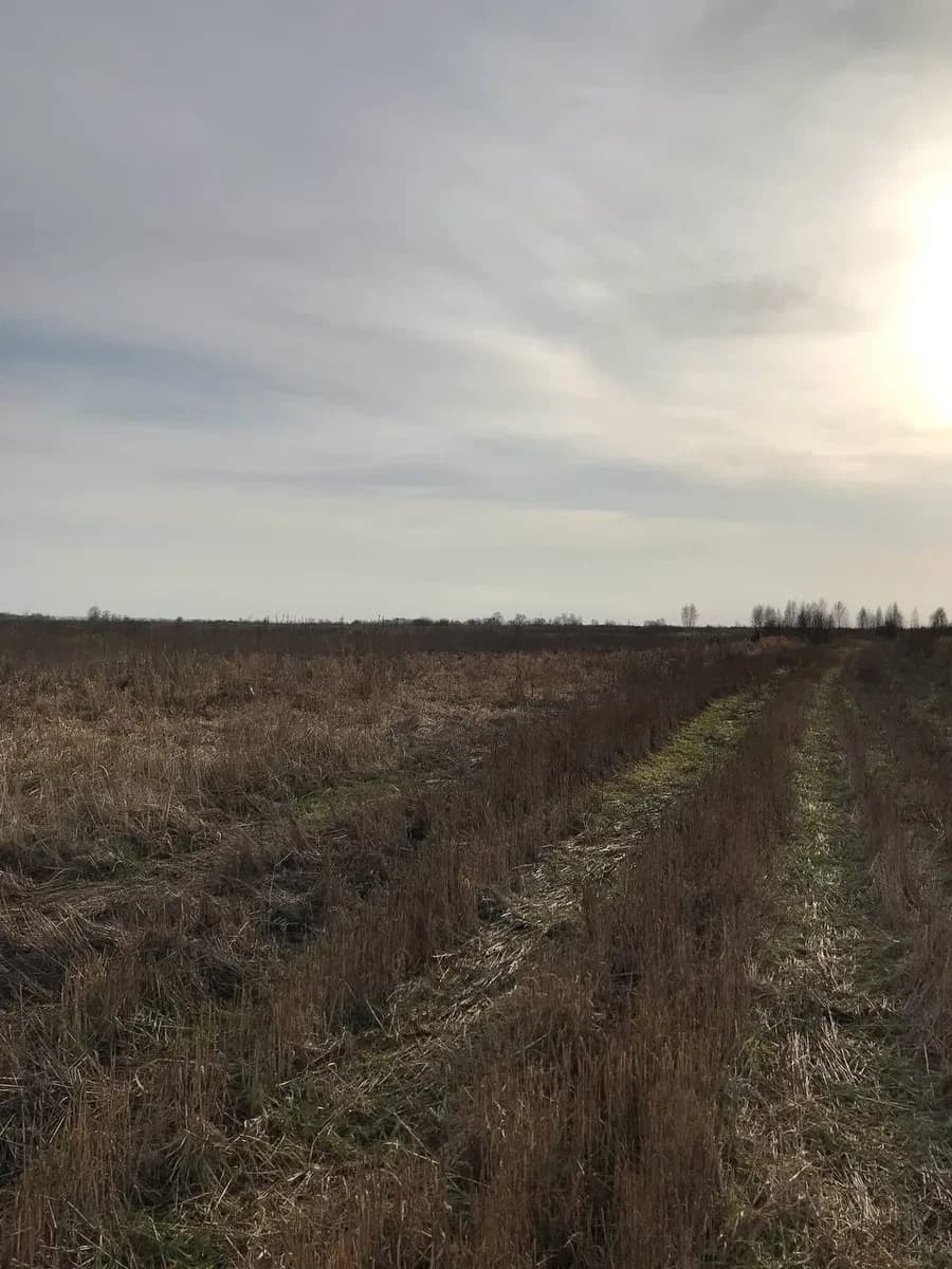 Ділянка 109 соток, Нижча Дубечня: між Десною та Дніпром - фото 5