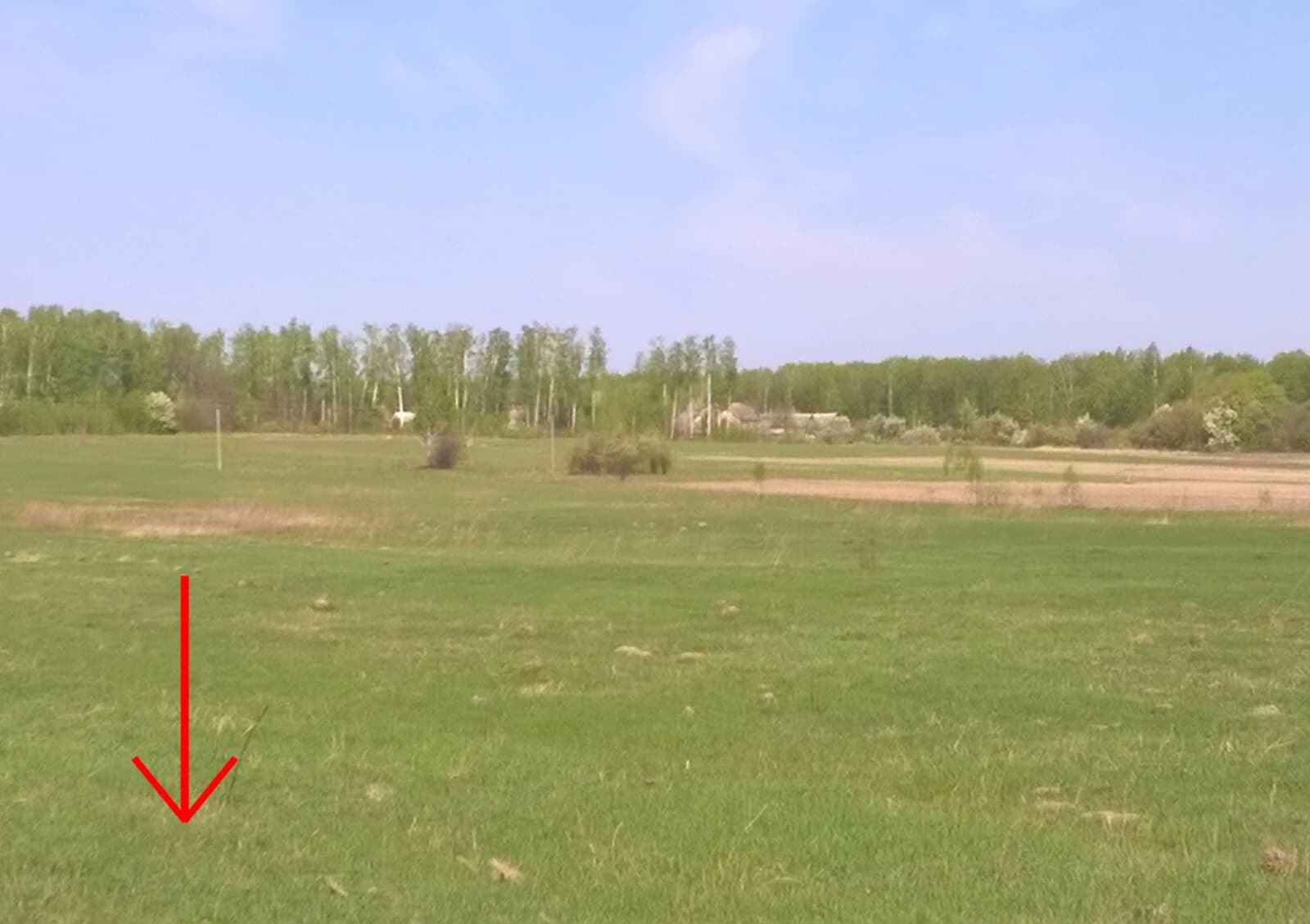 Ділянка, Нові Білокоровичі: сільськогосподарське призначення - фото 3