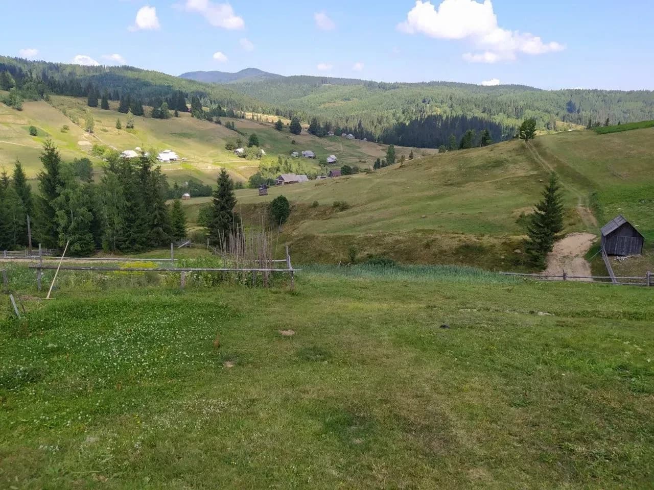 Ділянка 105 соток, Сенечів: річка Обнога, хвойний ліс - фото 3