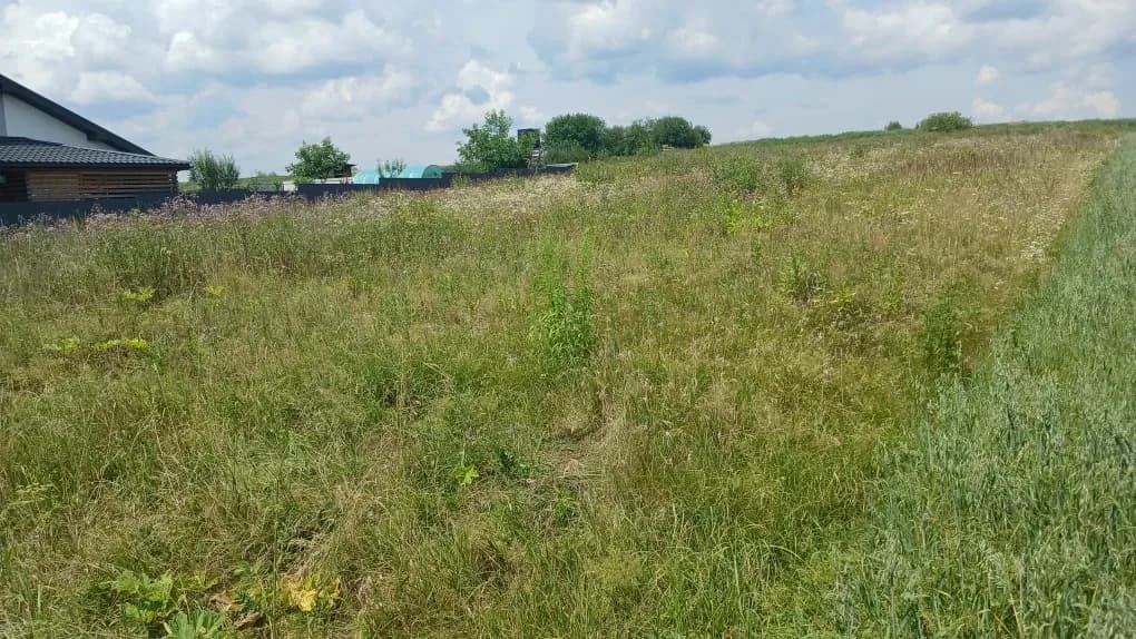 Ділянка 29 соток, Підлісся: під с/г, обмін на авто - фото 4