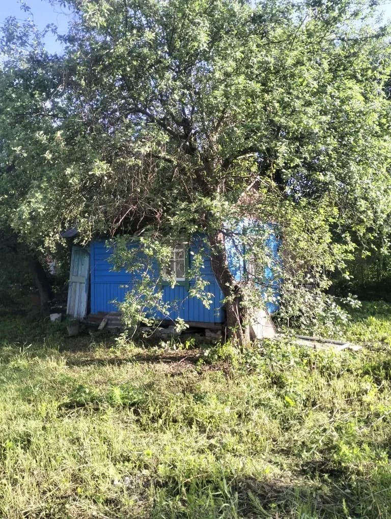 Дача, Чернігів: сад із сортових дерев, світло та вода для поливу - фото 3