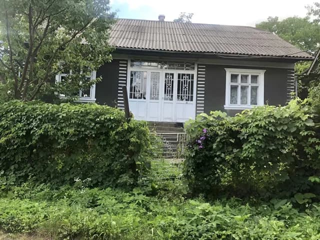 Будинок, Ржавинці: 50 соток, криниця, літня кухня