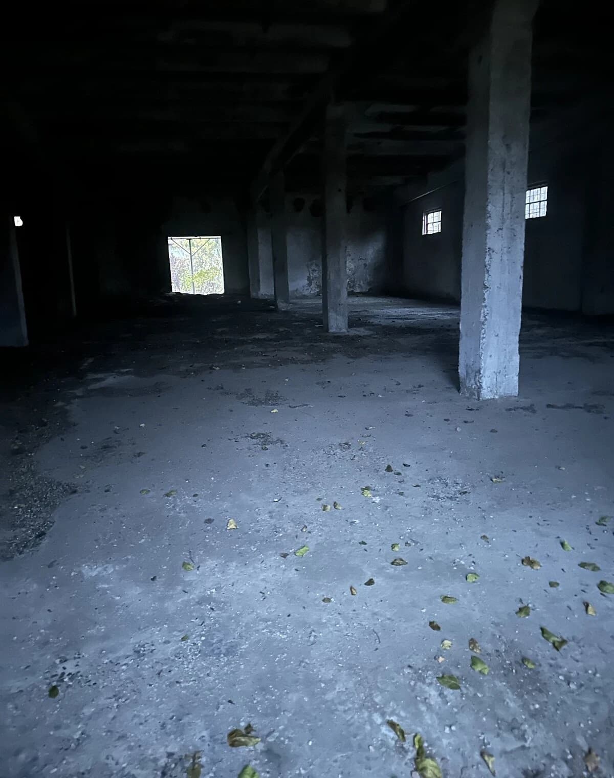 Приміщення, Благовіщенське: фасадне, окрема будівля, рампа - фото 5