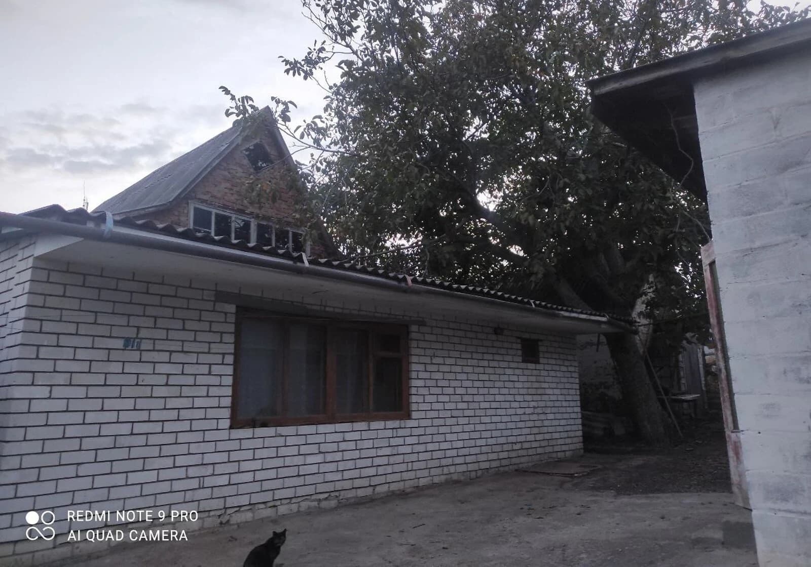Будинок, Тальне: 12 соток, єОселя, торг можливий - фото 5