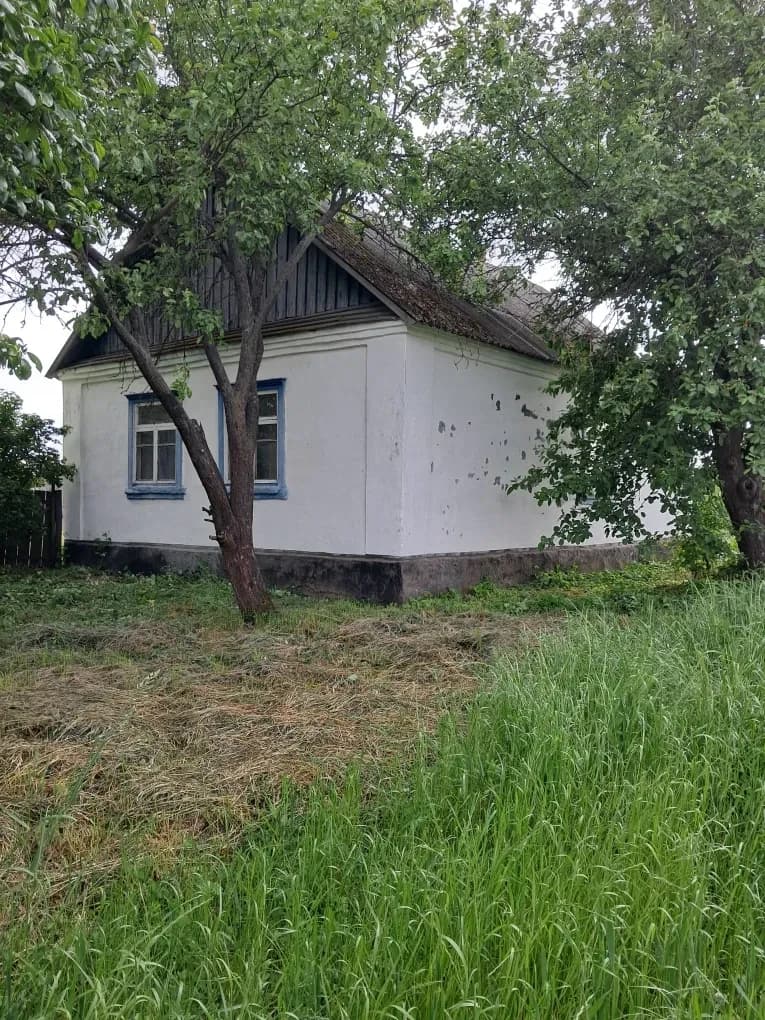 Будинок, Городське: 21 сотка, власна свердловина - фото 1