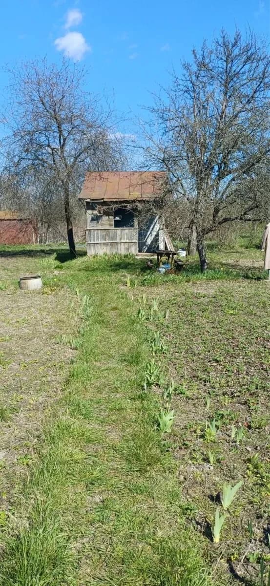 Ділянка 6 соток, Шостка: СТ «Мічуринець-1», будиночок і льох - фото 4