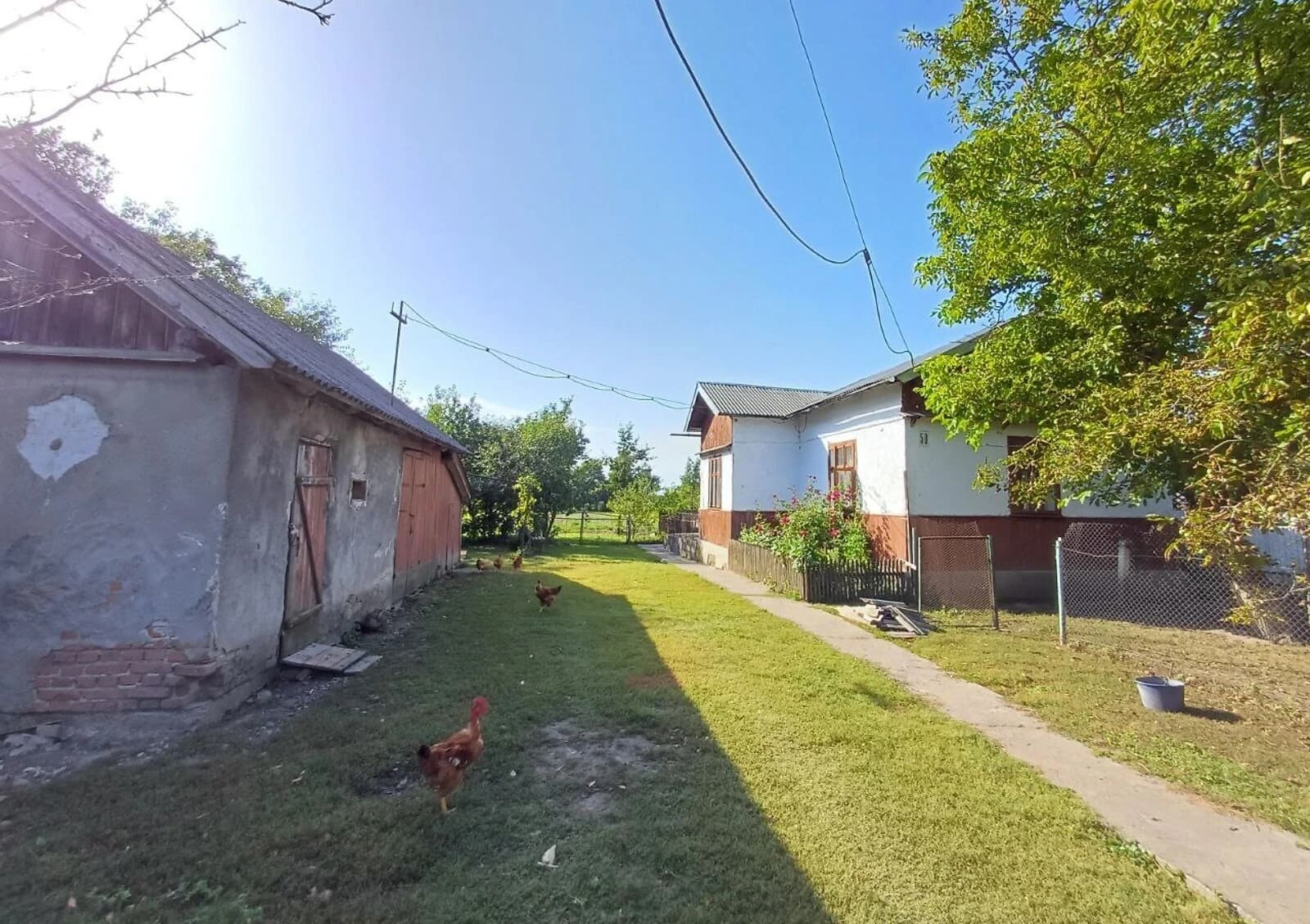 Будинок, Слобідка Більшівцівська: ділянка 20 соток, торг можливий - фото 3