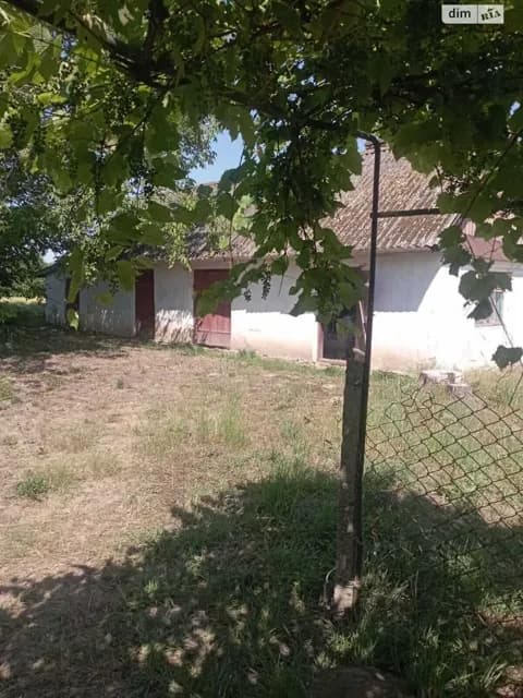 Дача, Тесів: веранда, літня кухня - фото 4