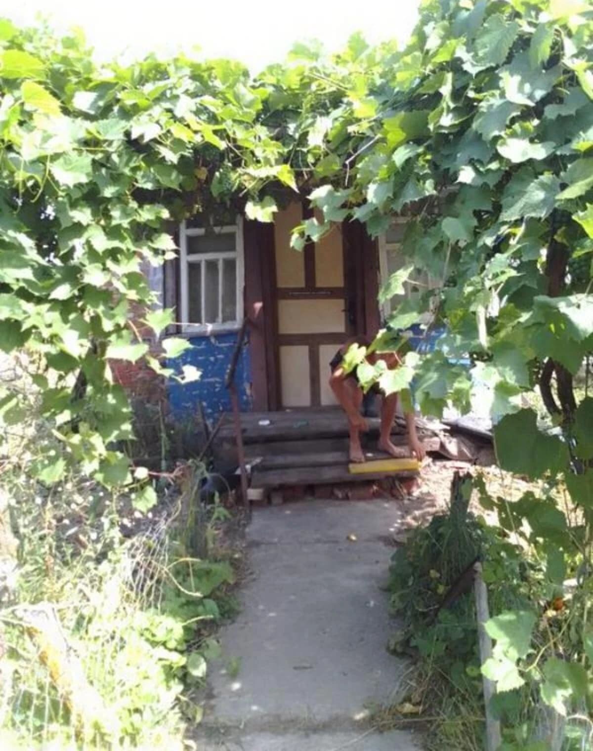 Будинок, Хрещате: ділянка 25 соток, зруб, свердловина