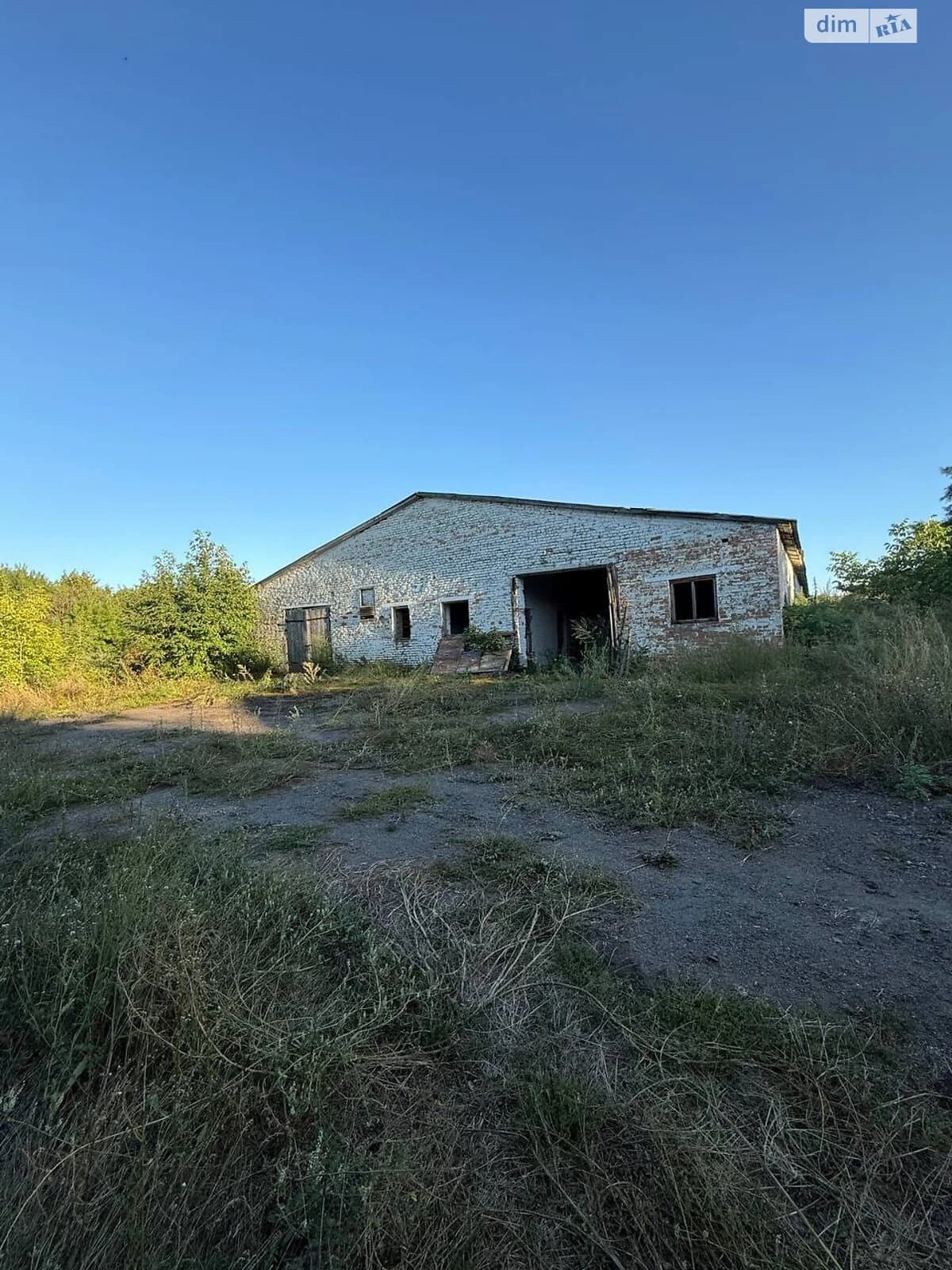 Приміщення, Голенищеве (Летичів): ангар для зерна, окреме - фото 3