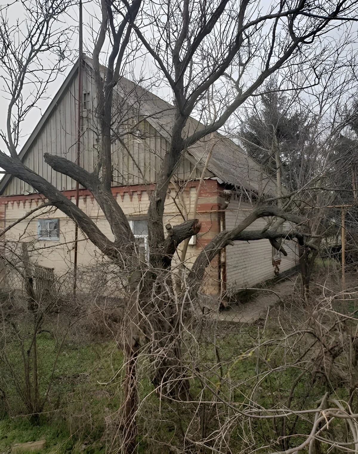 Будинок, Мар’ївка: 30 соток, гараж із підвалом, криниця - фото 5