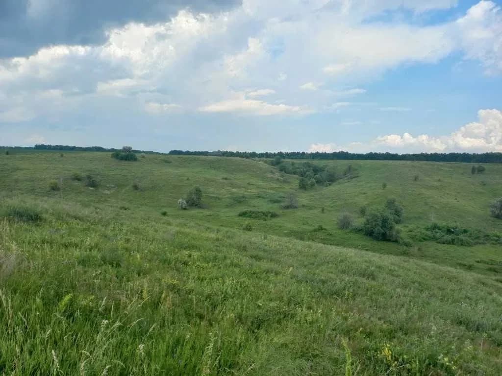 Ділянка 100 соток, Велика Бугаївка: ОСГ, парк Київська Русь поруч - фото 4