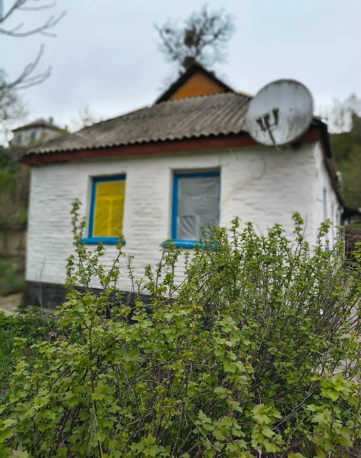 Будинок, Тальне: опалення, баня / сауна, сарай - фото 3