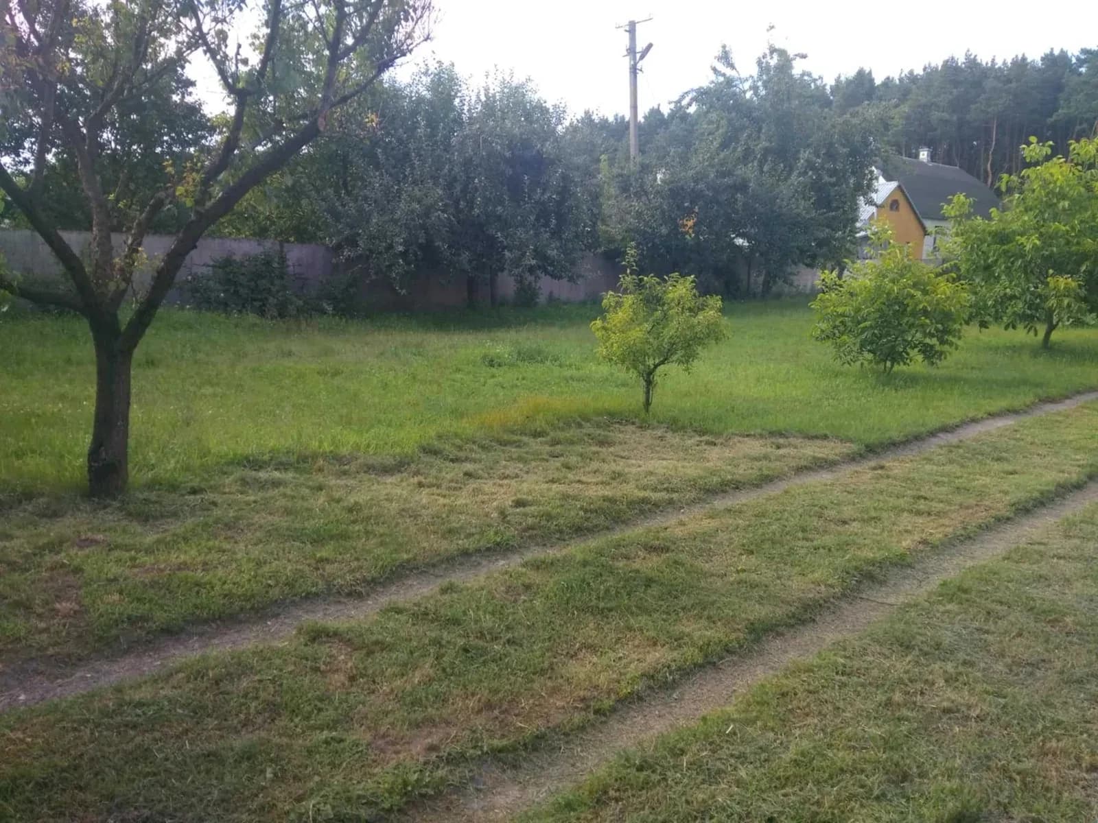 Ділянка 21 соток, Костопіль: будівлі, світло 380 В - фото 3
