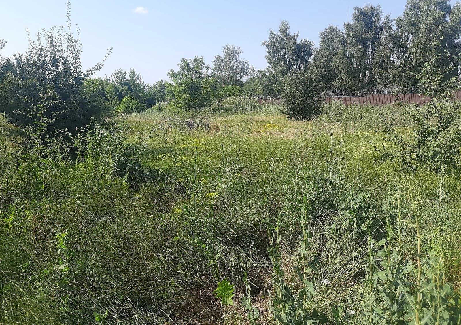 Ділянка 9.5 соток, Косівщина: під житлову забудову, 40×40 м - фото 3