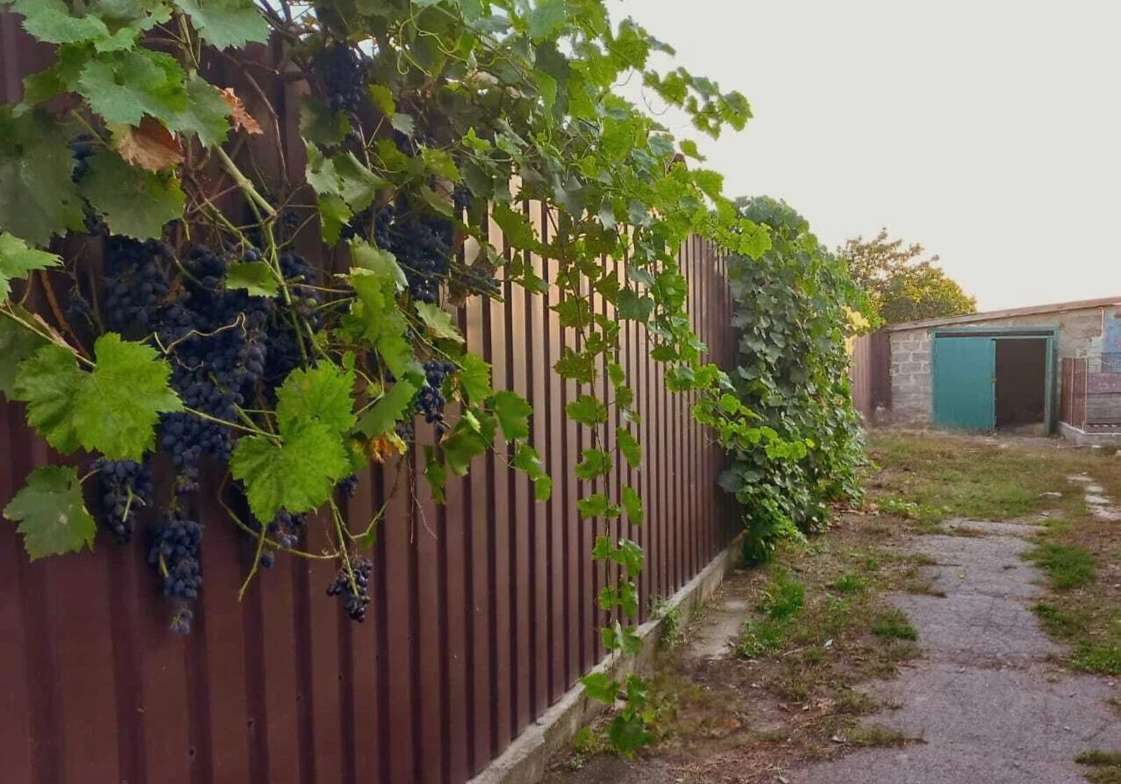 Будинок, Межиріч: 15 соток, веранда і бесідка - фото 3