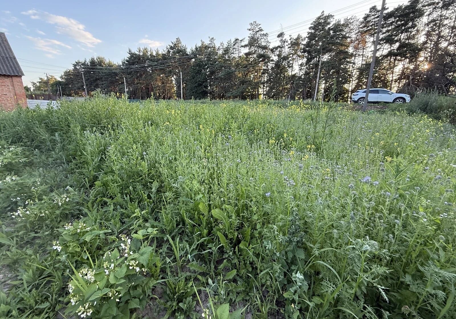 Ділянка 5.5 соток, Якушинці: під житлову забудову, чорнозем - фото 4