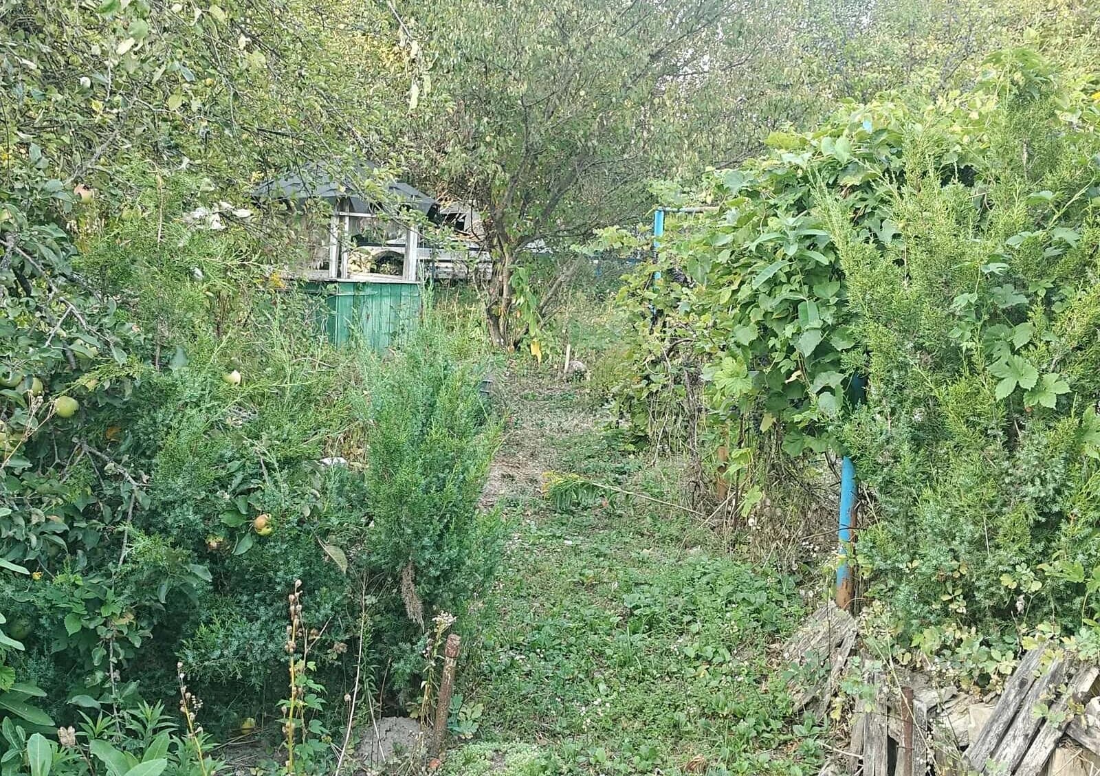 Ділянка 6 соток, Ярославка: під житлову забудову, природне озеро - фото 2