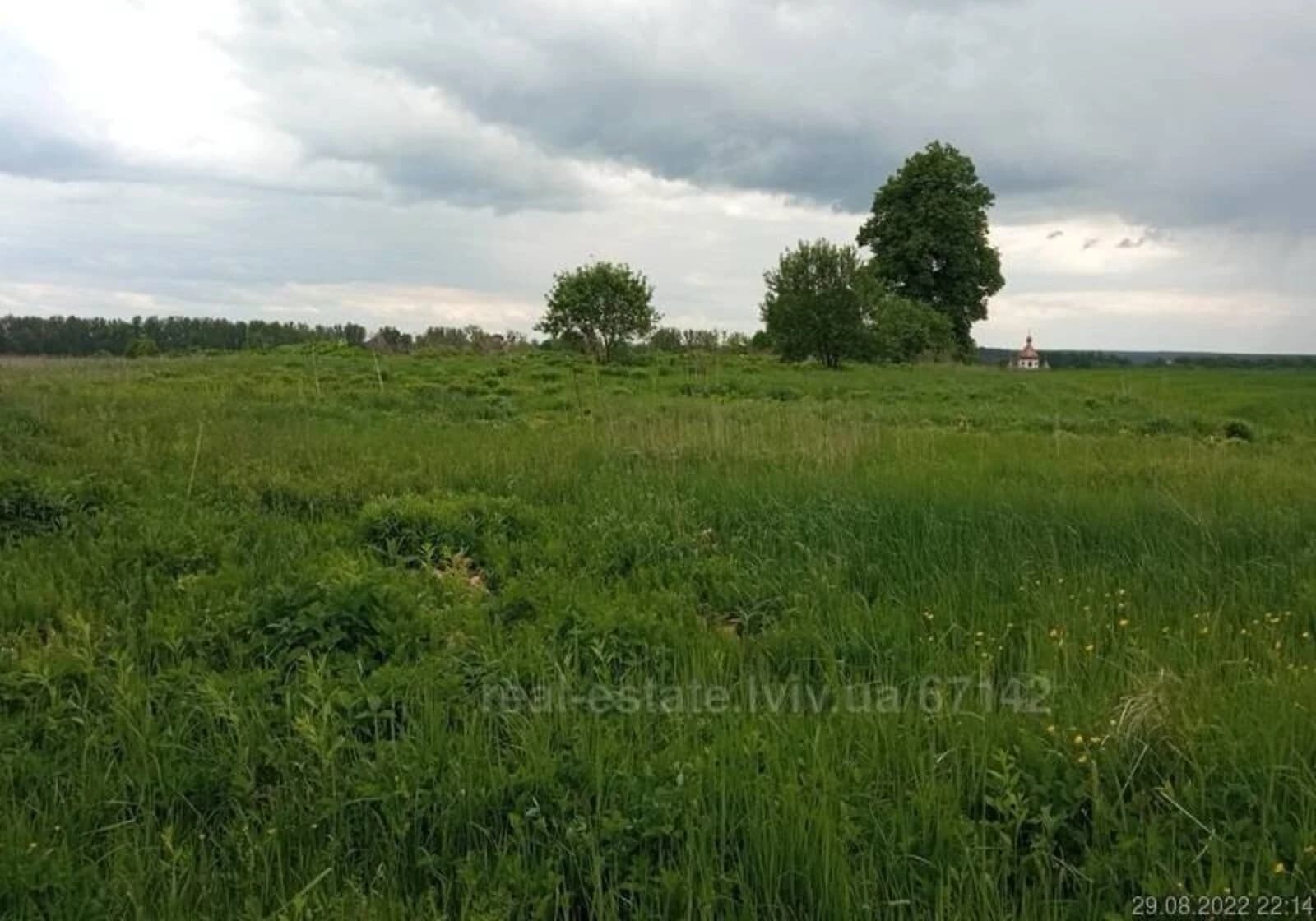 Ділянка 17.7 сотки, Кожичі: чорнозем, електрика, під гараж - фото 5