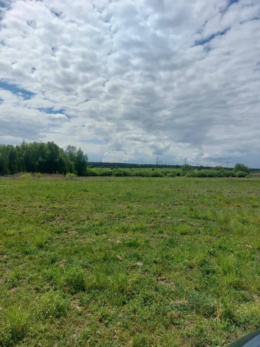 Ділянка 12 соток, Нові Петрівці: під будівництво, ліс і море - фото 3