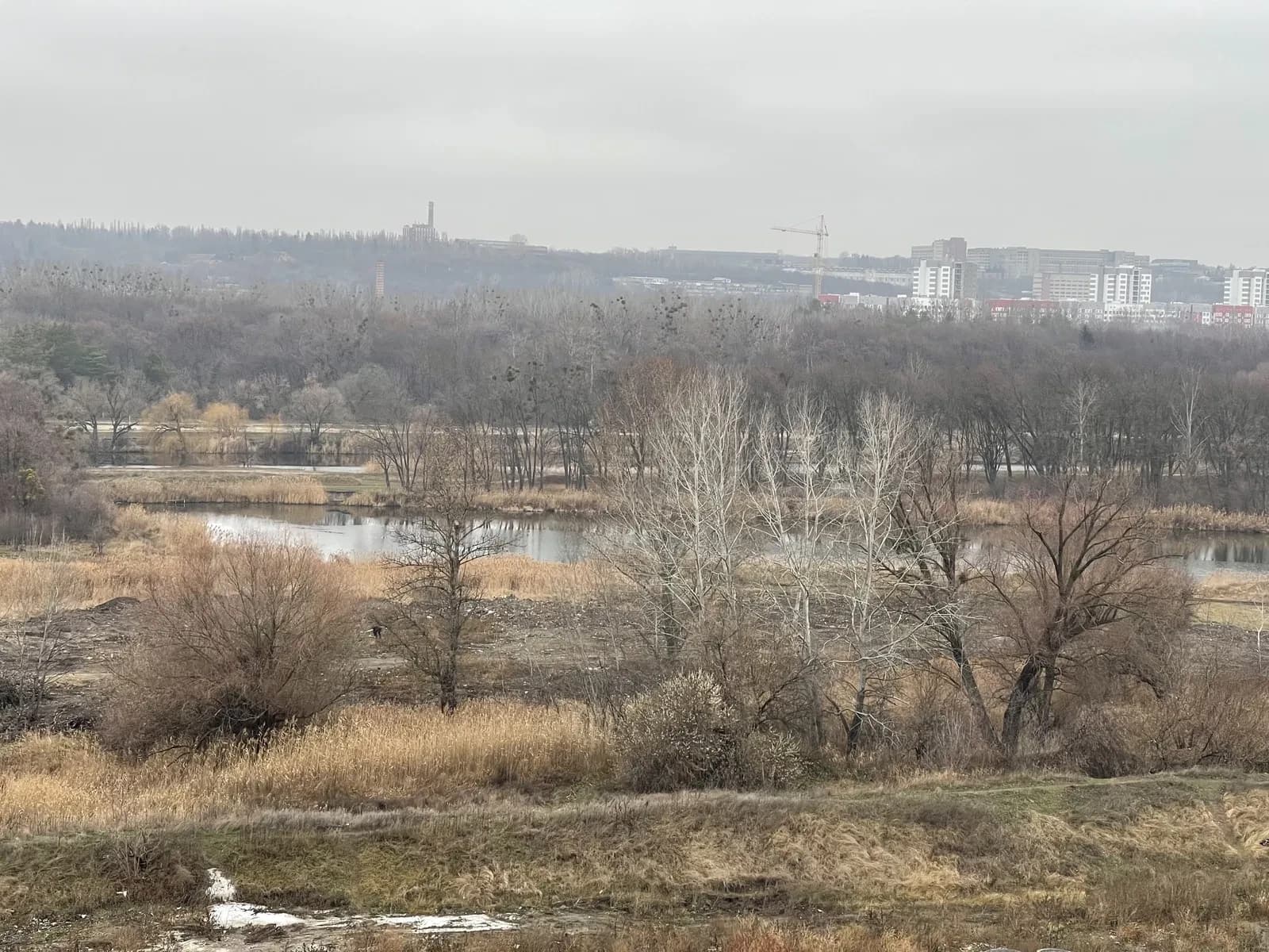 2-кімнатна квартира у ЖК Пташка: авторський проєкт, вид на річку - фото 5