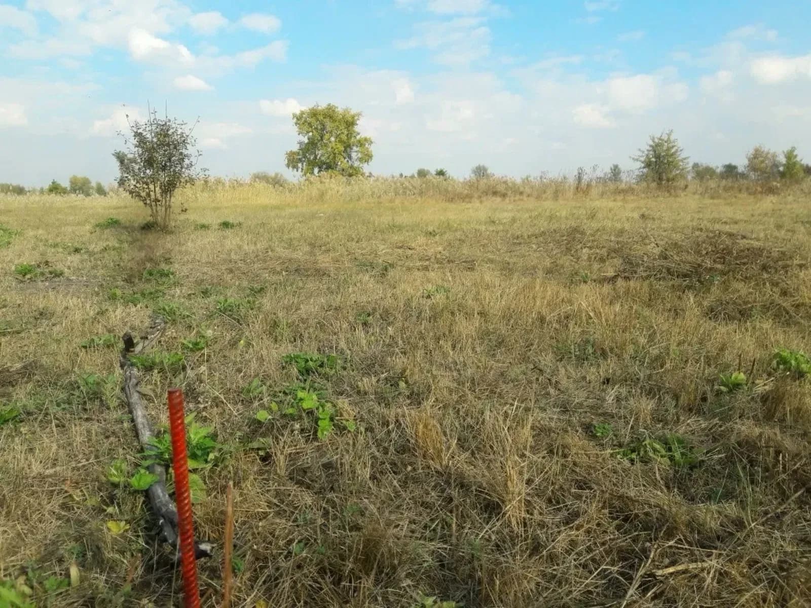 Ділянка 14 соток, Піщанка: перша лінія, власний вихід до озера Орлове - фото 2