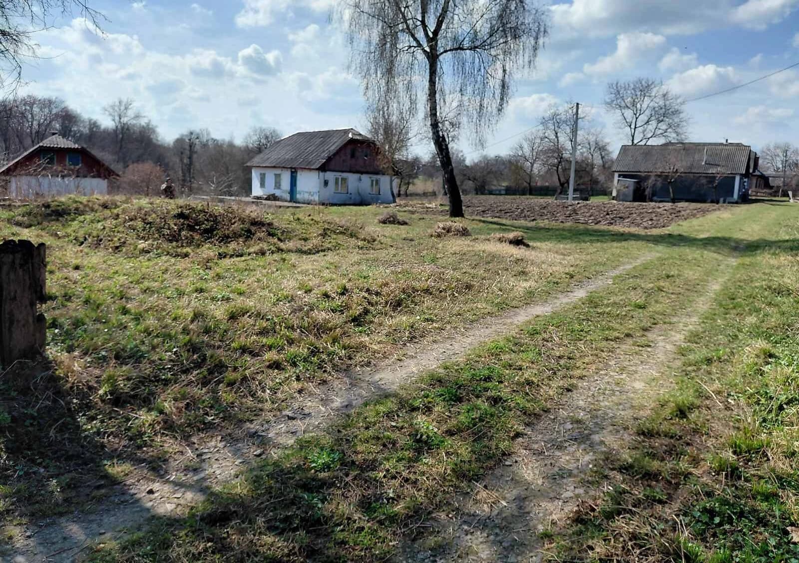Ділянка 59 соток, Радісне: під житлову забудову, струмок, сад - фото 4