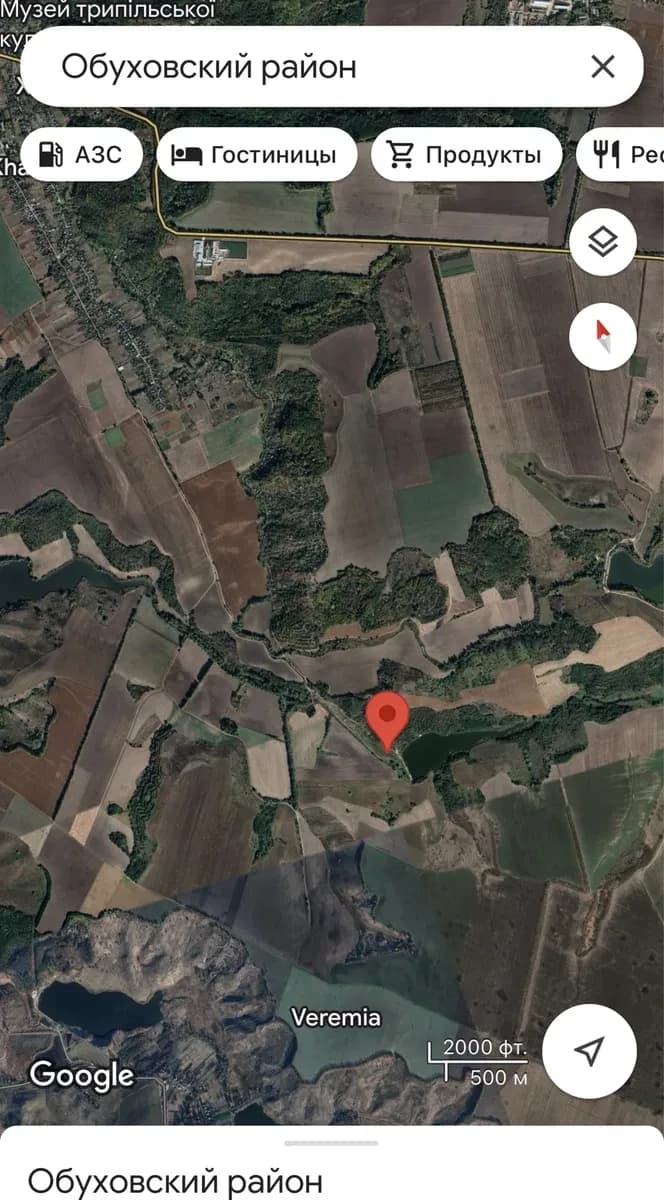 Ділянка 320 соток, Халеп'я: ОСГ, поруч річка та ліс - фото 3