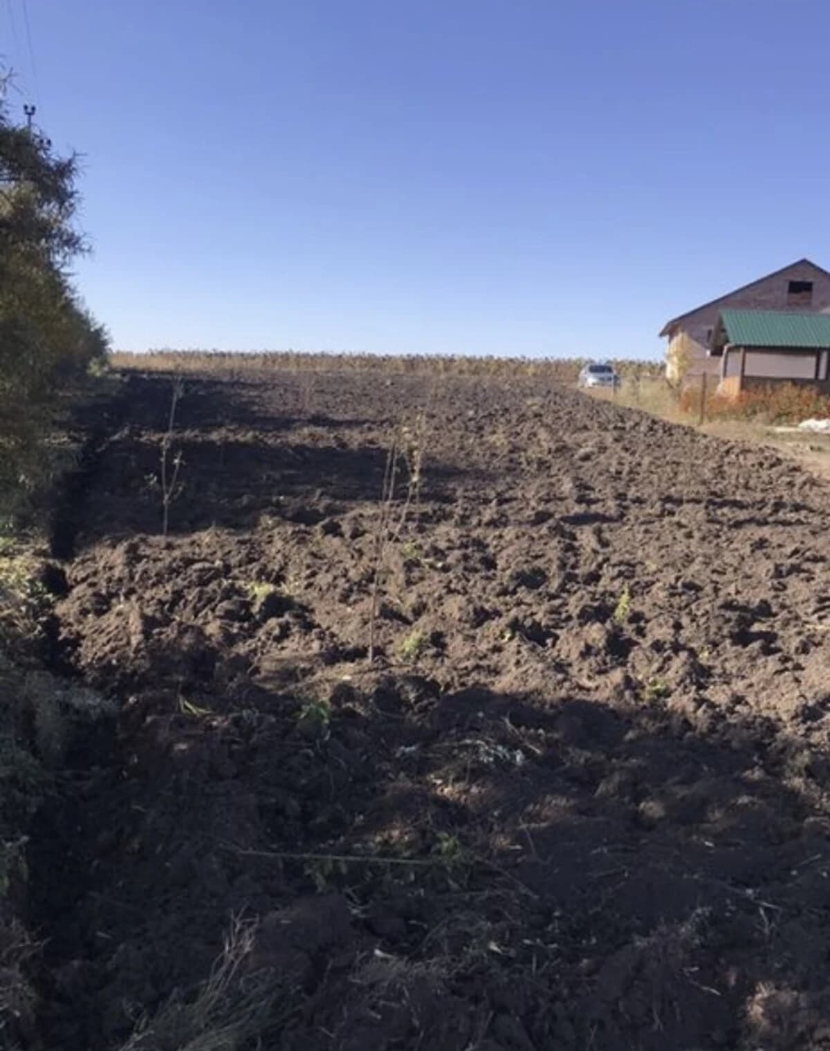Ділянка 14.81 соток, Гречани дальні: сад, рівнинний рельєф, чорнозем - фото 1