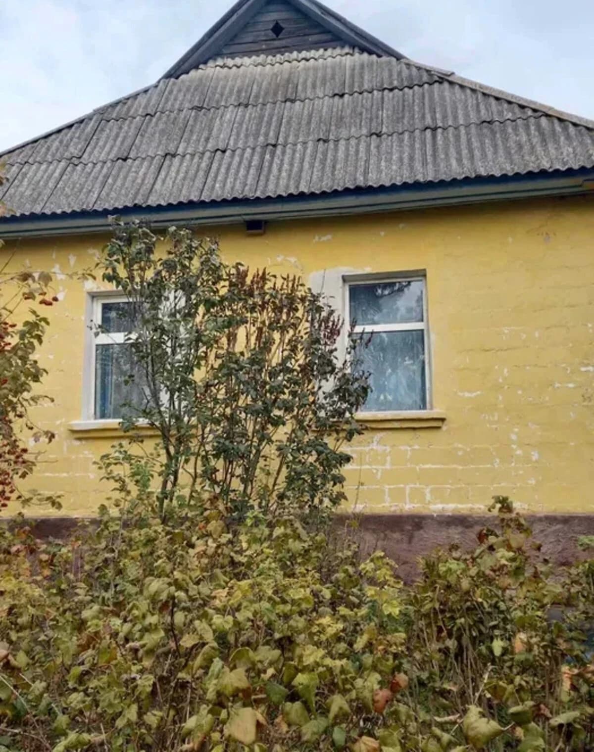 Будинок, Макишин: гараж, 35 соток, пічне опалення
