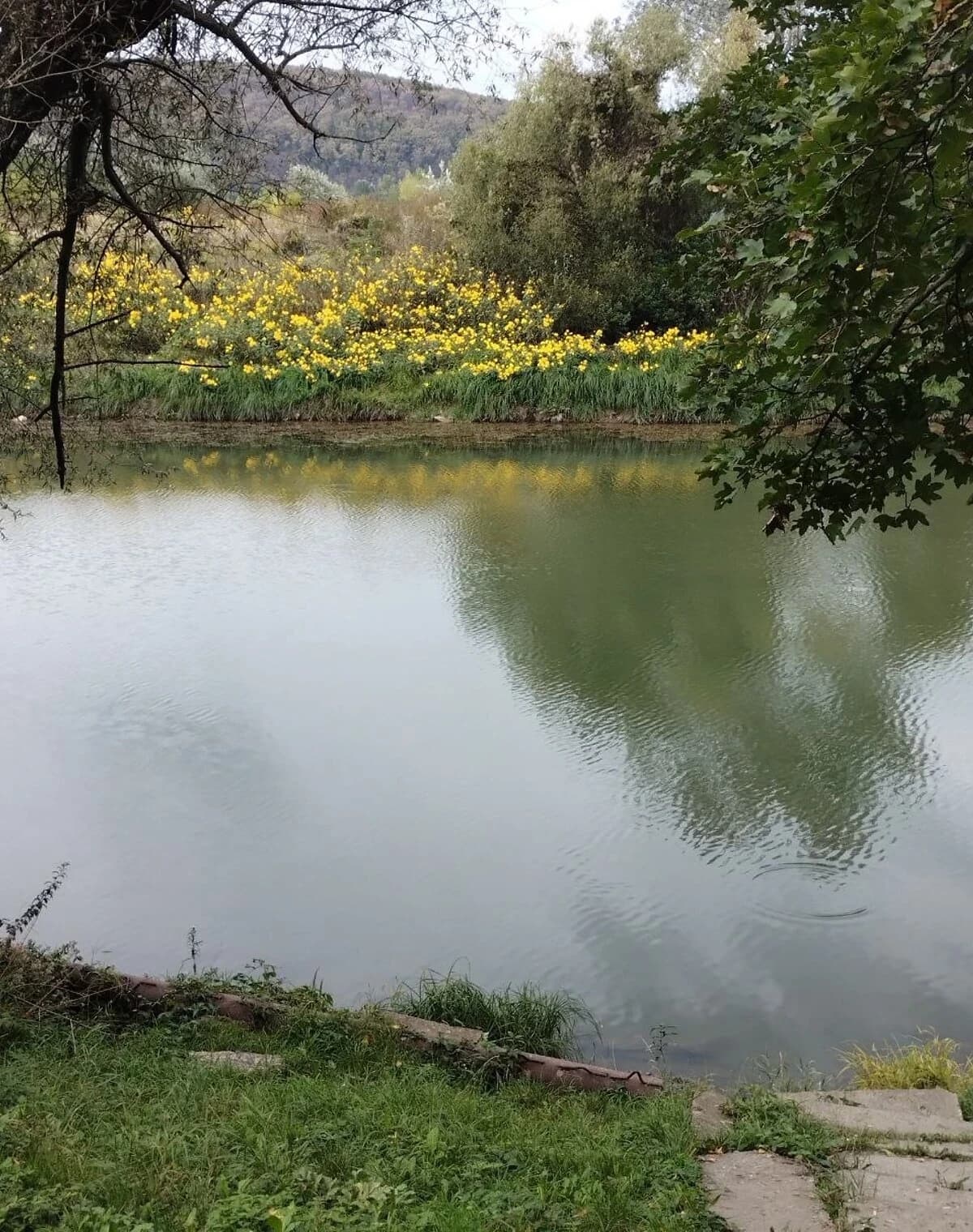 Ділянка 1.25 сотки, Оріховиця: під гараж, гірський рельєф - фото 1