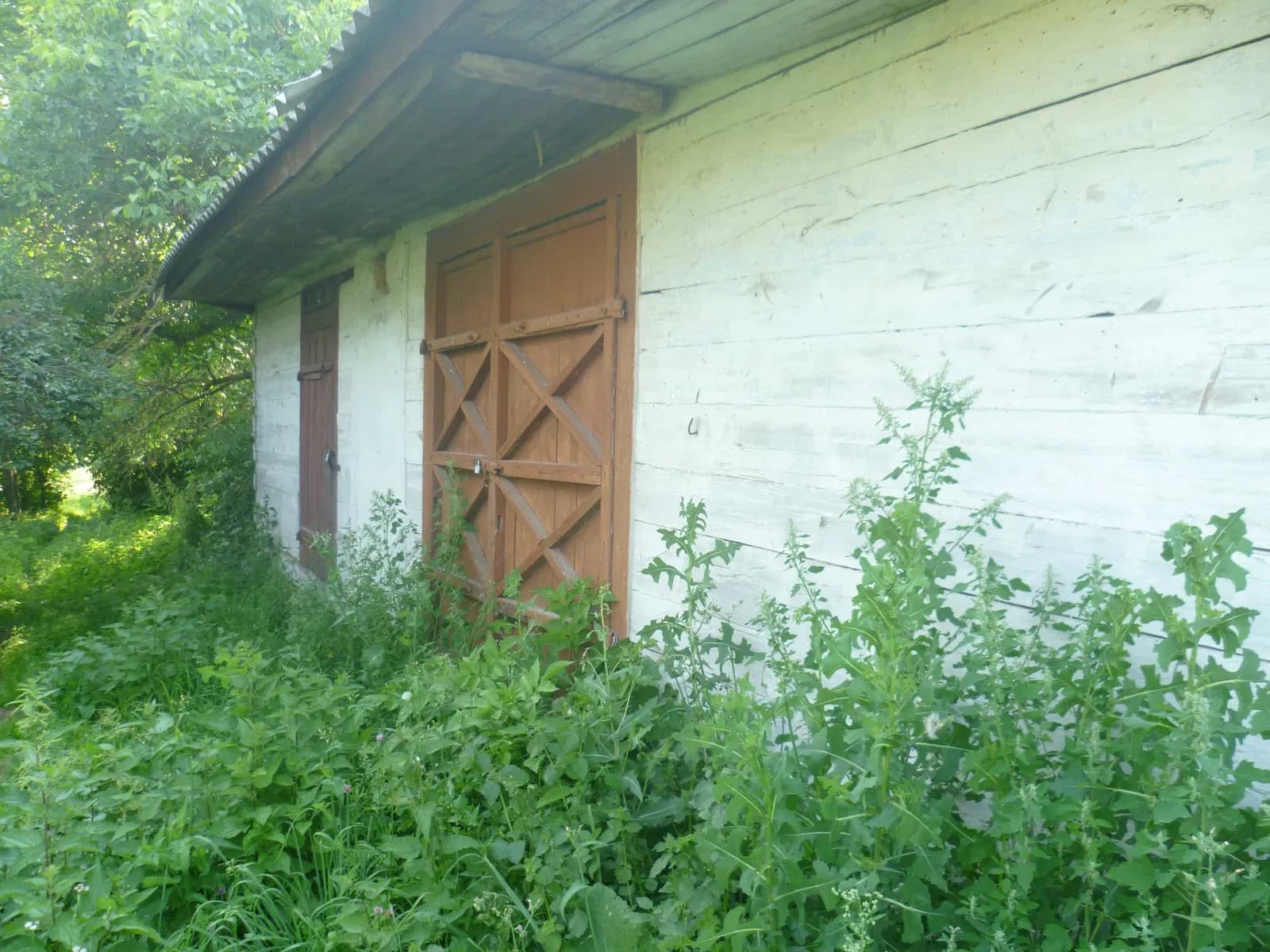 Будинок, Іванівка: власна криниця, сарай і погріб - фото 4