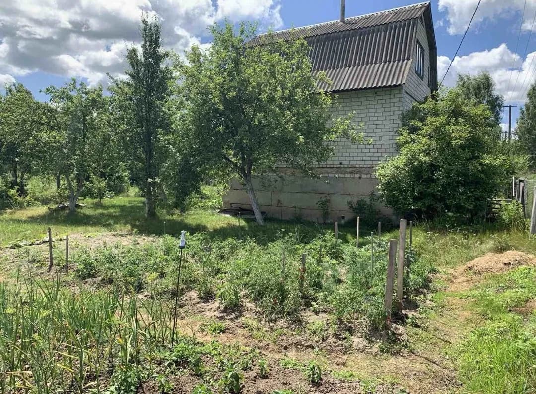 Дача, Березівка: водойма, огороджена ділянка - фото 3
