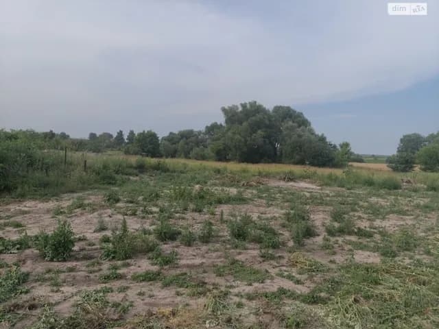 Будинок, Кулажинці: цегляні стіни, ділянка, централізоване опалення - фото 5