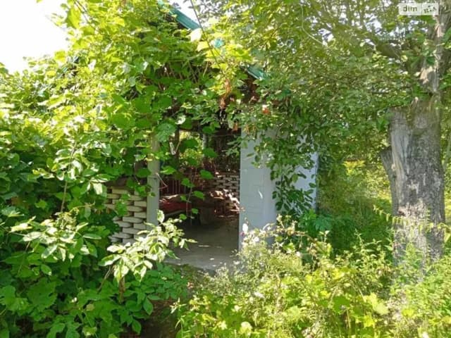 Будинок, Короп'є: гараж, 46.6 сотки, бесідка - фото 5