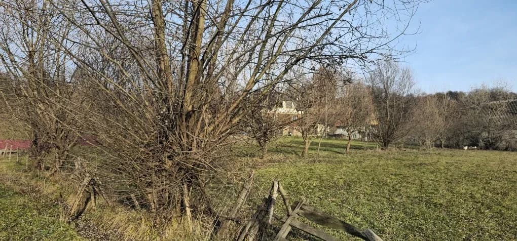 Ділянка 8 соток, Великий Бичків: для будівництва будинку - фото 4
