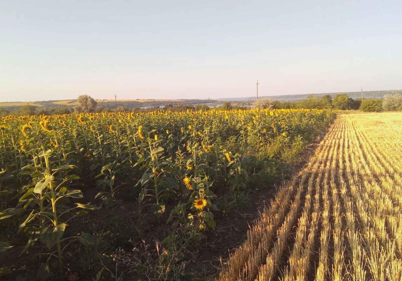 Ділянка 75 соток, Воронівка (Дніпро): під житлову забудову, під гараж - фото 1