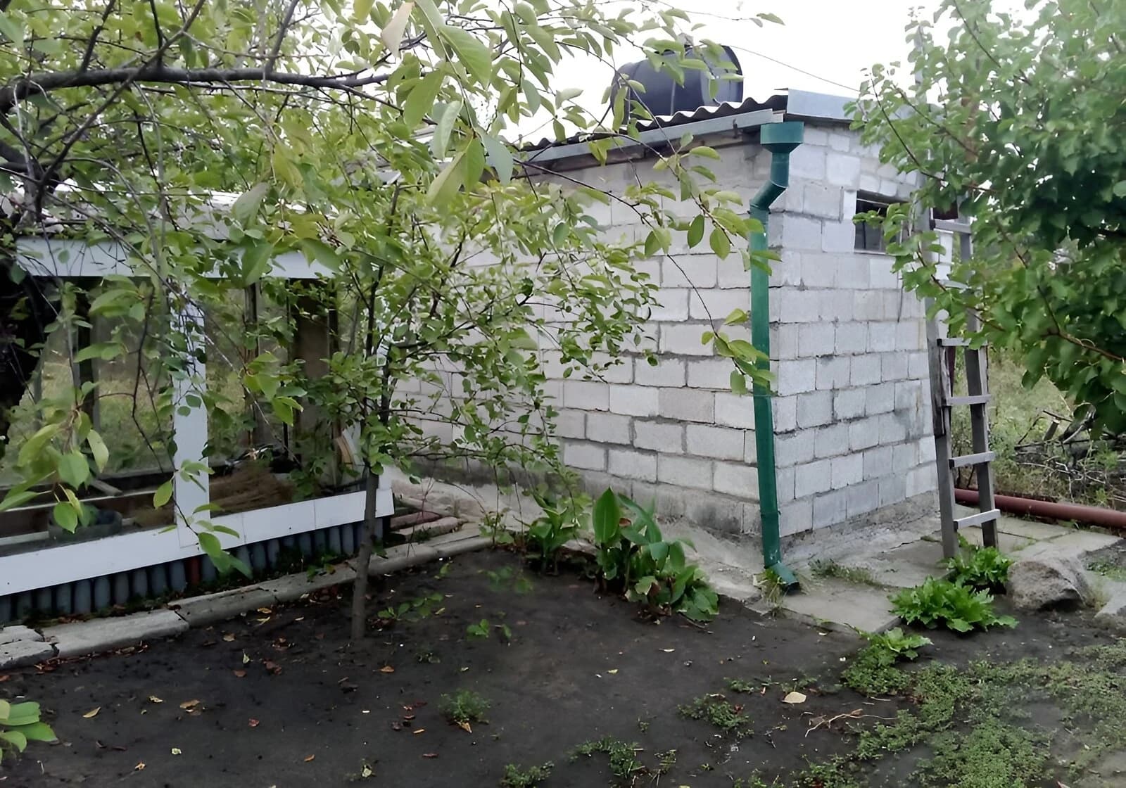 Дача, Кушугум: гараж із підвалом, веранда, 6 соток - фото 3