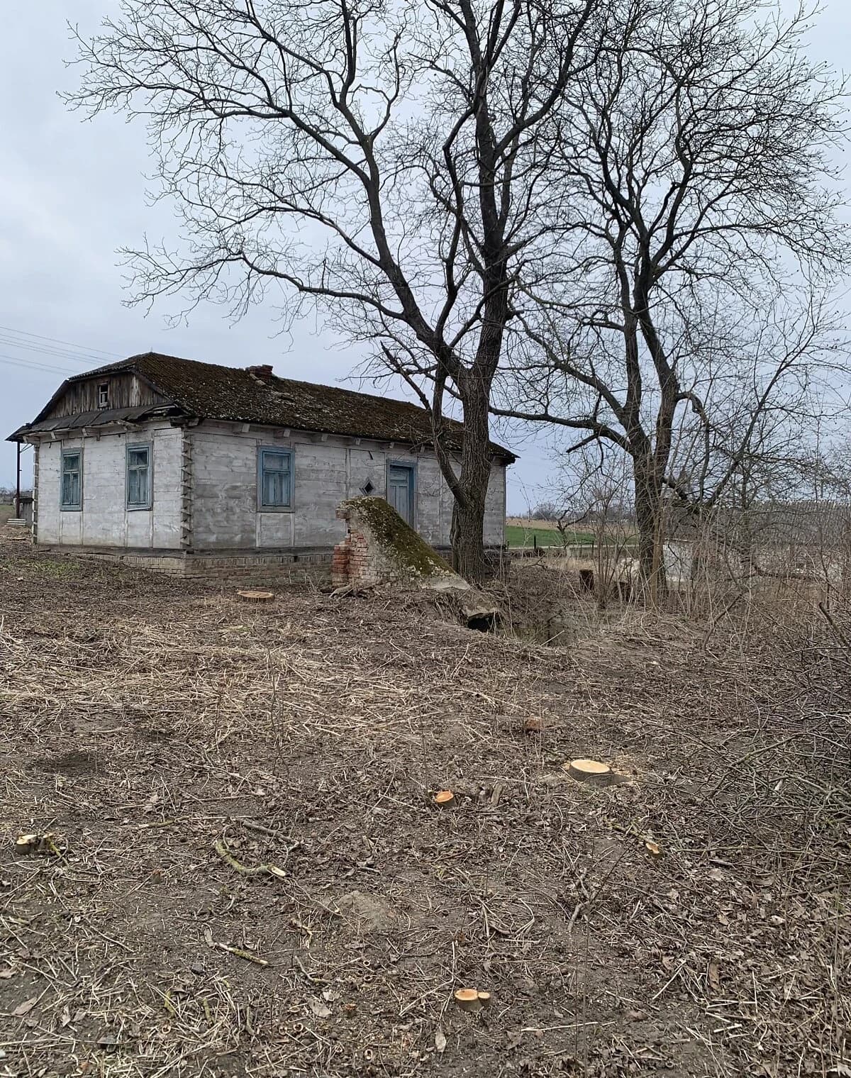 Ділянка 47.9 соток, Зимне: під житлову забудову, чорнозем - фото 4