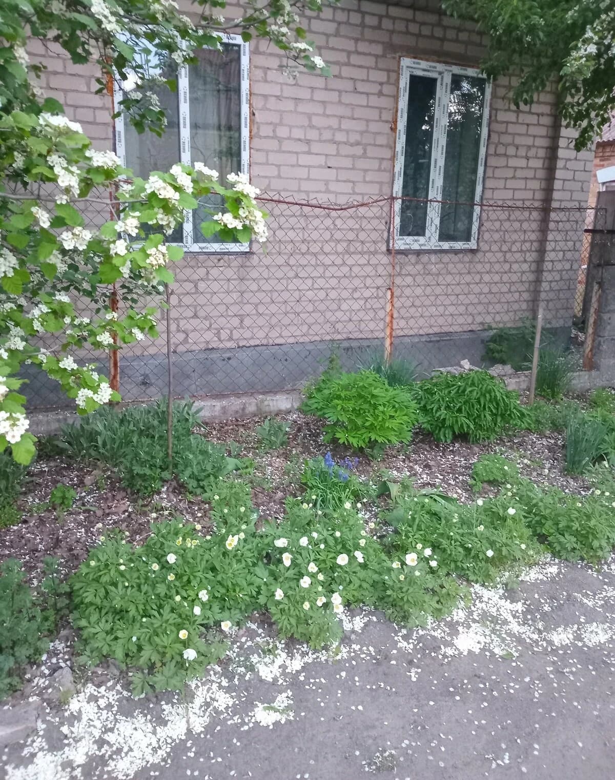 Частина будинку, Новокодацький: єВідновлення, гараж із підвалом - фото 3